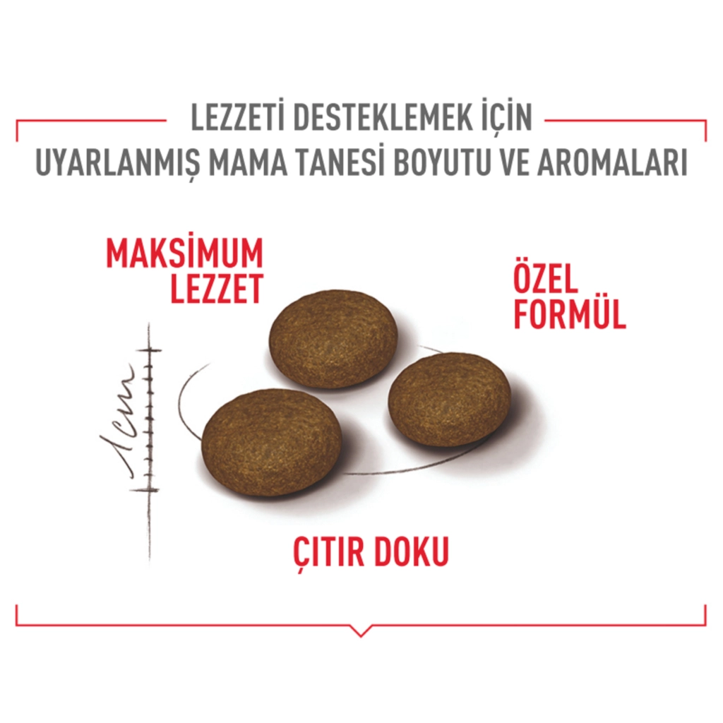 Royal Canin Fussy Exigent Seçici Kedi Kuru Maması 2kg