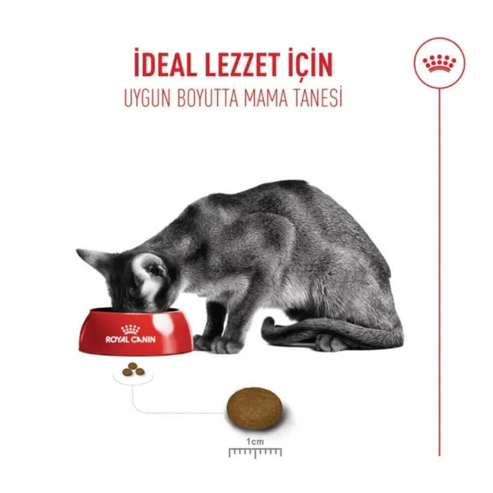 Royal Canin Fussy Exigent Seçici Kedi Kuru Maması 2kg