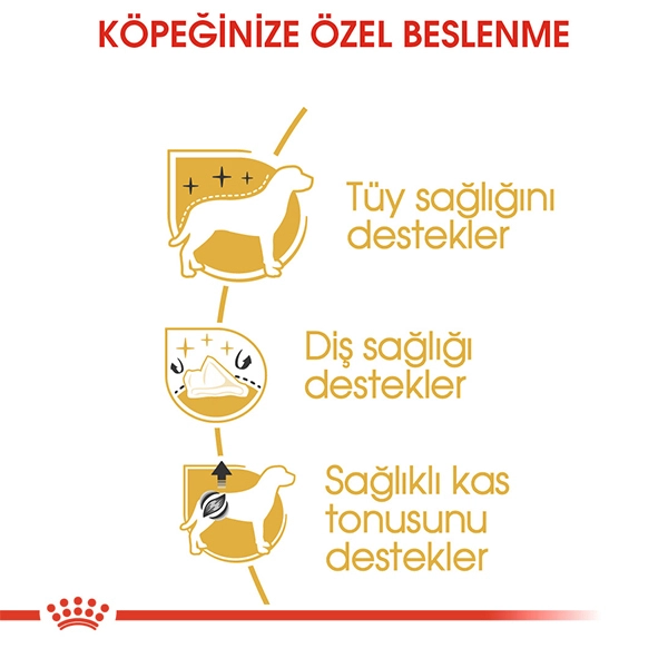 Royal Canin Poodle Adult Yetişkin Köpek Kuru Maması 3kg