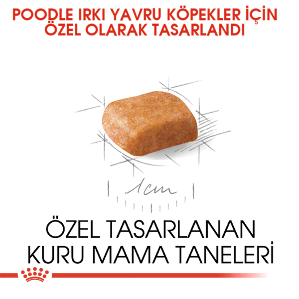 Royal Canin Poodle Puppy Yavru Köpek Kuru Maması 3kg