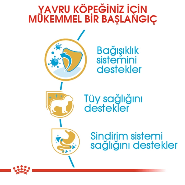 Royal Canin Poodle Puppy Yavru Köpek Kuru Maması 3kg