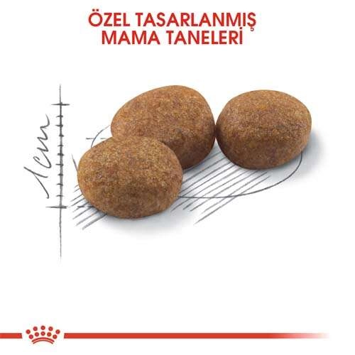 Royal Canin Sterilised 37 Yetişkin Kısır Kuru Kedi Maması 15kg
