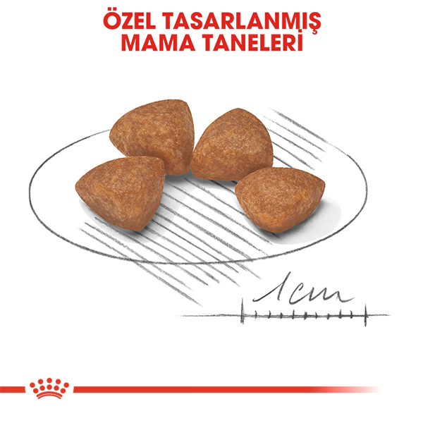 Royal Canin X-Small Puppy Yavru Köpek Kuru Maması 1.5kg
