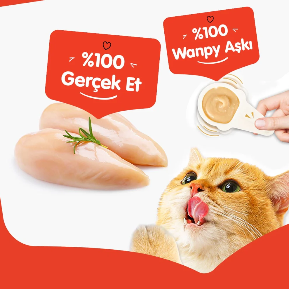 Wanpy Tavuklu Kaşıklı Kedi Ödül Kreması 10x16gr