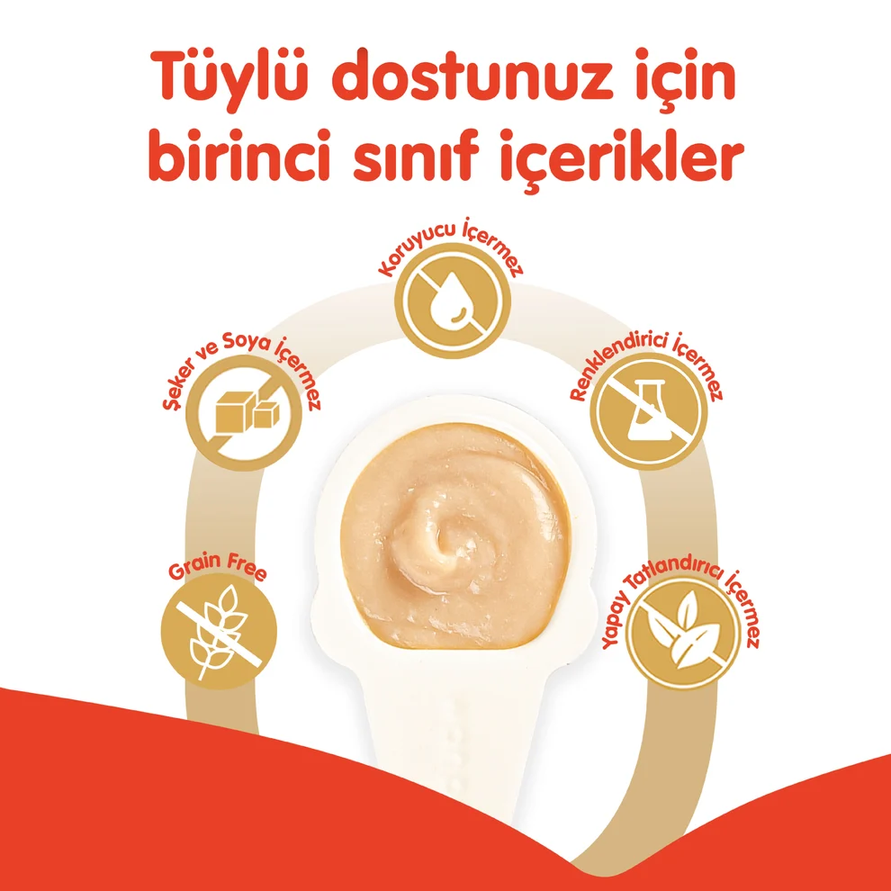 Wanpy Tavuklu Kaşıklı Kedi Ödül Kreması 10x16gr